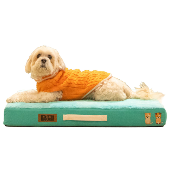 Petter World Micro Fur Orthopedic Mattress Bed with Memory Foam Base for Dogs (Turquoise) on Sale