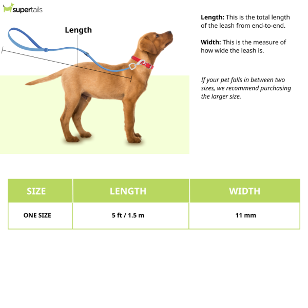 Ruffwear Just a Cinch Leash for Dogs (Lichen Green) Online now