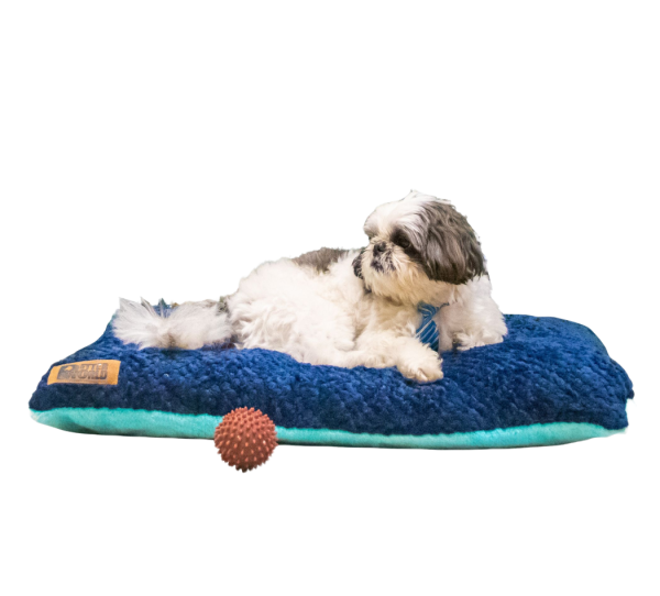 Petter World Luxury Reversible Chopped Foamed Pillow Bed with Soft Fur for Dogs (Turquoise) on Sale