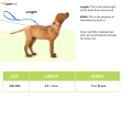 Ruffwear Flat Out Leash for Dogs (Forest Horizon) Online