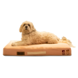 Petter World Micro Fur Orthopedic Mattress Bed with Memory Foam Base for Dogs (Peach Pearl) Fashion