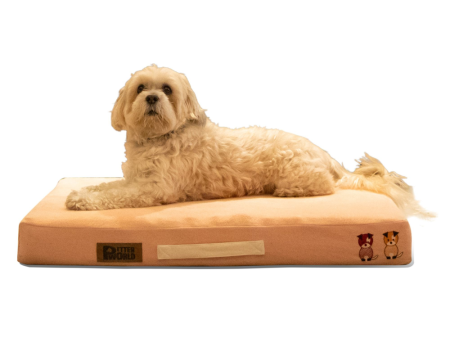 Petter World Micro Fur Orthopedic Mattress Bed with Memory Foam Base for Dogs (Peach Pearl) Fashion