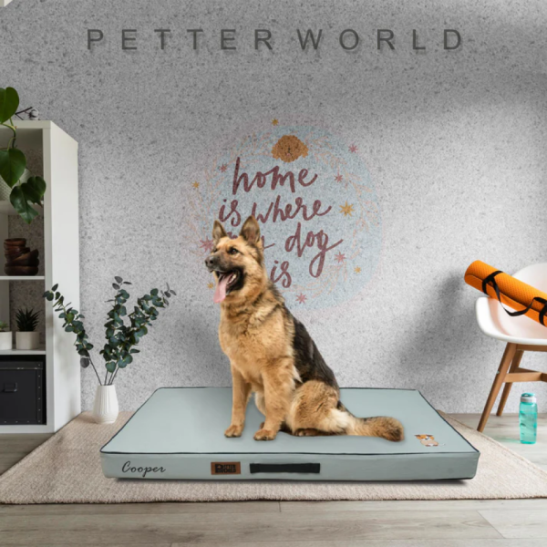 Petter World Comfort Flat Foam Bed for Dogs (Celeste Green) Online Sale