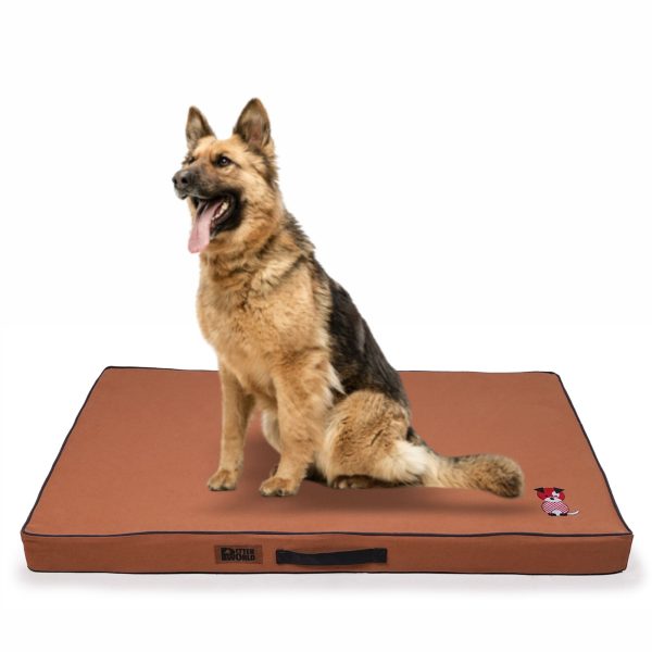 Petter World Comfort Flat Foam Bed for Dogs (Earthy Brown) Online now