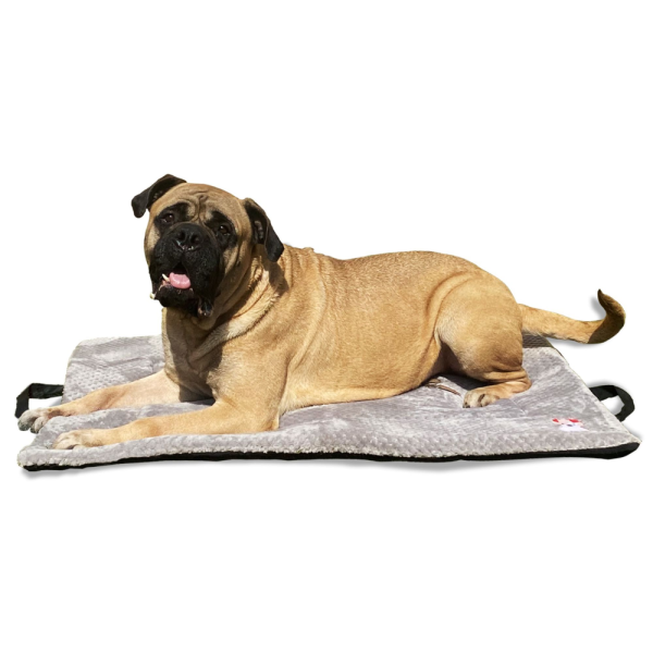 Petter World Orthopedic Memory Foam Crate Mat for Joint Support & Pressure Relief for Dogs (Meteorite) Supply