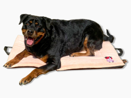 Petter World Orthopedic Memory Foam Crate Mat for Joint Support & Pressure Relief for Dogs (Peach Pearl) Sale