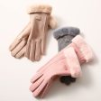 Wholesale DeRong Outdoor Cycling Thickened Touch Screen Warm Gloves Supply