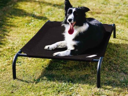 15% OFF: Coolaroo Elevated Knitted Fabric Pet Bed - Charcoal Black Online